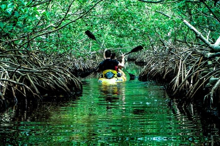 Kayaking